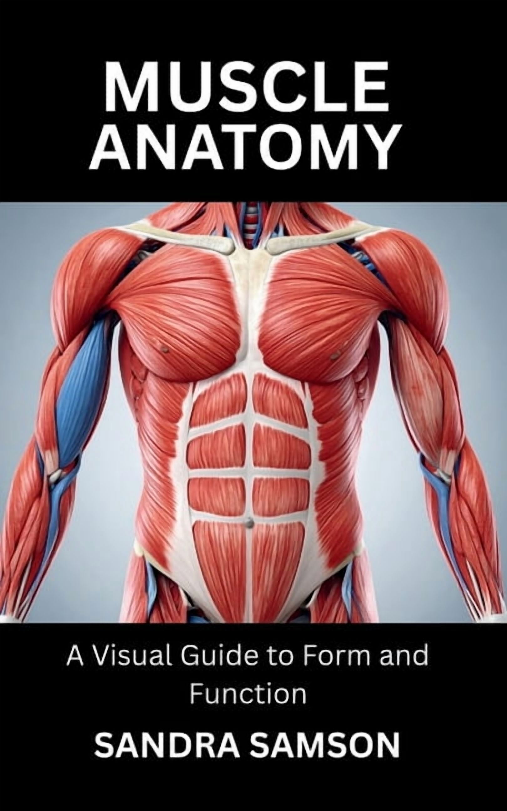 Muscle Anatomy: A Visual Guide to Form and Function, (Paperback ...