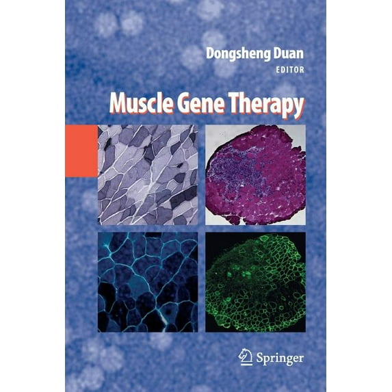 Muscle Gene Therapy, (Paperback)