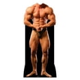thumbnail image 1 of Muscle Man Standin, 1 of 1