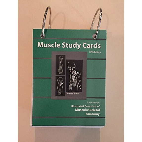 Pre-Owned Muscle Study Cards, for the book: Illustrated Essentials of Musculoskeletal Anatomy Paperback