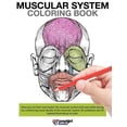 thumbnail image 1 of Muscular System Coloring Book, (Paperback), 1 of 1
