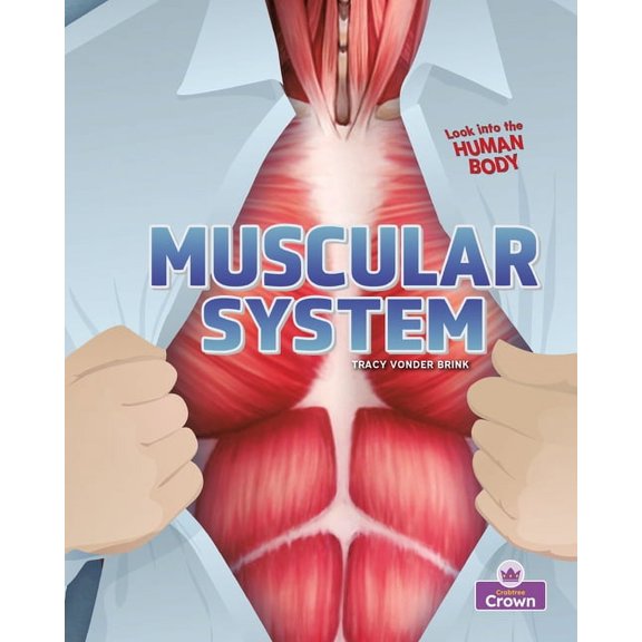 Muscular System, (Hardcover)