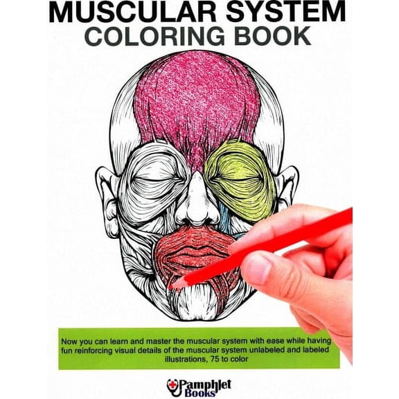 Muscular System Coloring Book: Now you can learn and master the muscular system with ease while having fun (Paperback)