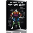 thumbnail image 1 of Musculature Anatomy Chart Tin Sign Gym Motivational Metal Signs Funny Gym Room Decor Signs Man Cave Art Poster 8x12 Inches, 1 of 13