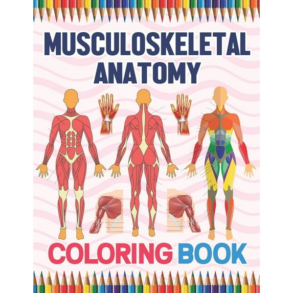 Musculoskeletal Anatomy Coloring Book: Human Body And Human Anatomy Learning Workbook.Muscular System Coloring Book.Kids Anatomy Coloring Book.Human Body Anatomy Coloring Book For Men & Women.Musculos