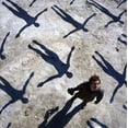 thumbnail image 1 of Muse - Absolution - Music & Performance - CD, 1 of 1