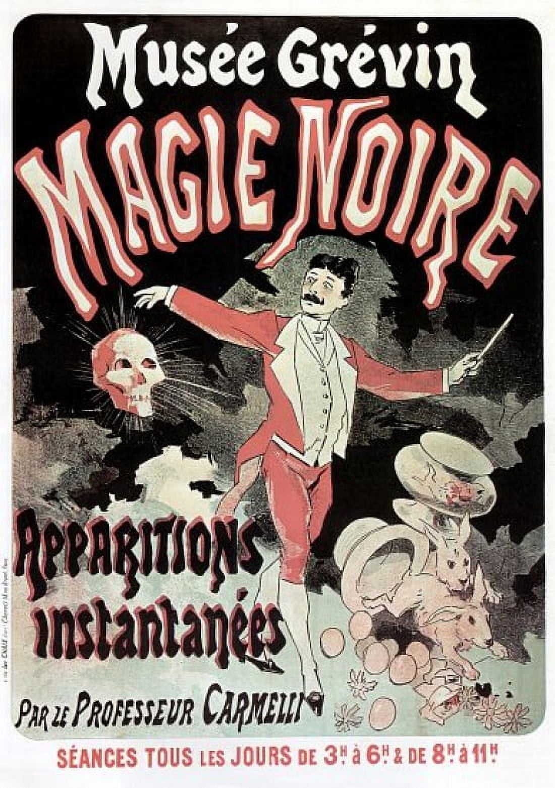 Musee Grevin Magie Noire Magic Canvas Art - (36 x 54)
