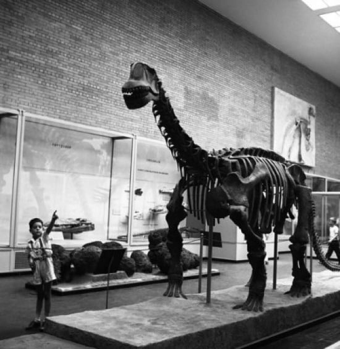 Museum of natural history Canvas Art - (18 x 24)