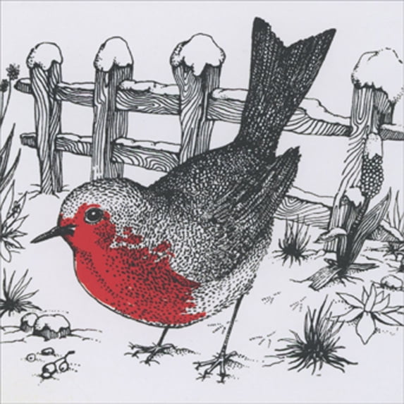 Museums & Galleries Robin Redbreast Near Snow Covered Fence Pen and Ink Box of 8 Winter Holiday / Christmas Cards
