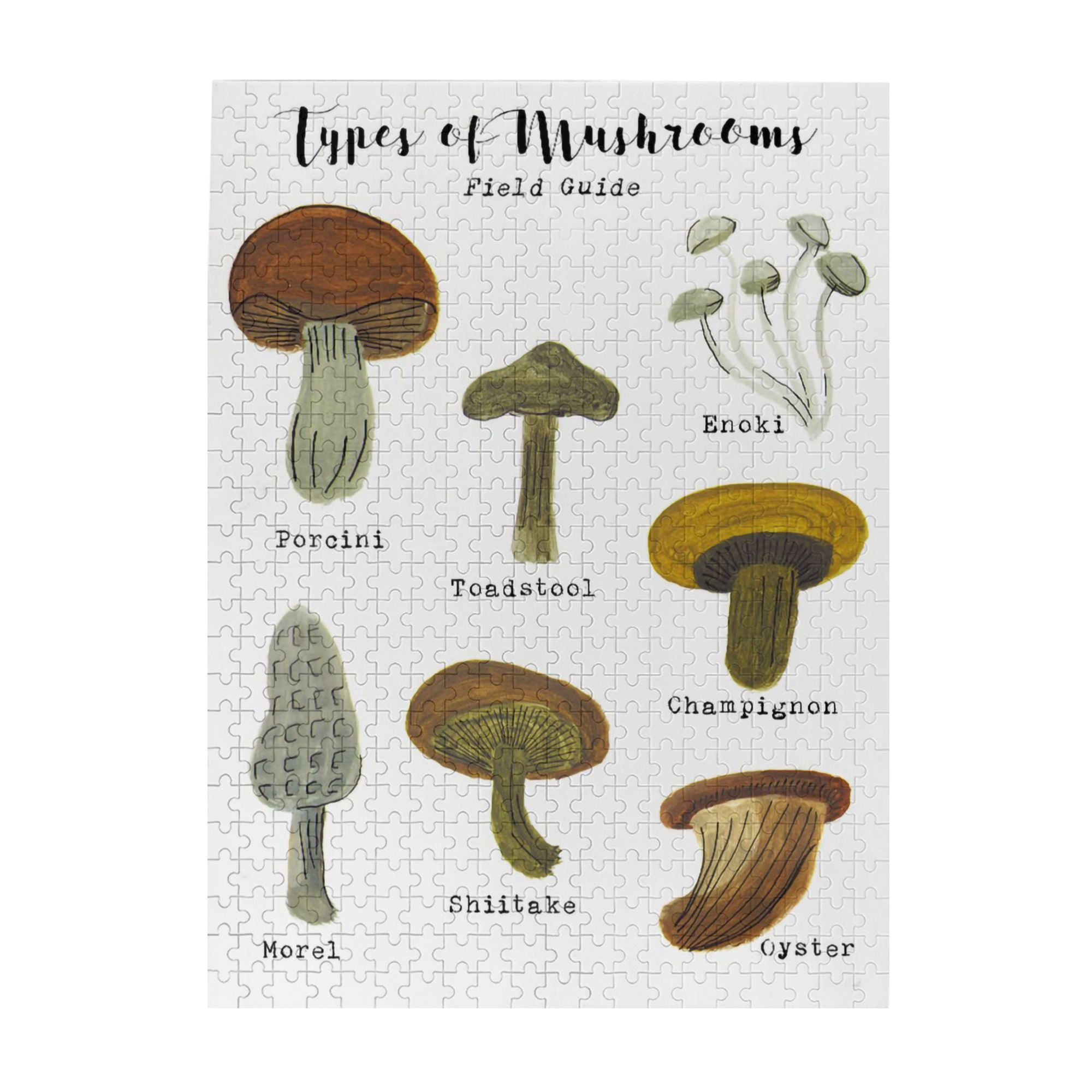 Mushroom Art - Types of Mushrooms Printable - Mushroom Wall Art - Kitchen Art Print - Field ...
