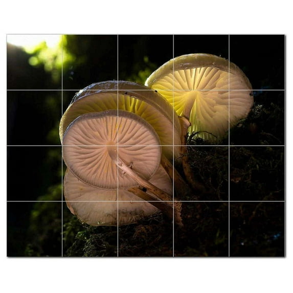 Mushroom Ceramic Tile Mural Kitchen Backsplash Bathroom Shower, 401206-XL54