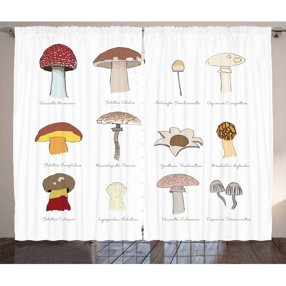 Ambesonne Mushroom Curtains 2 Panel Set, Blusher Boletus Sketch, 108" x 90", Multicolor