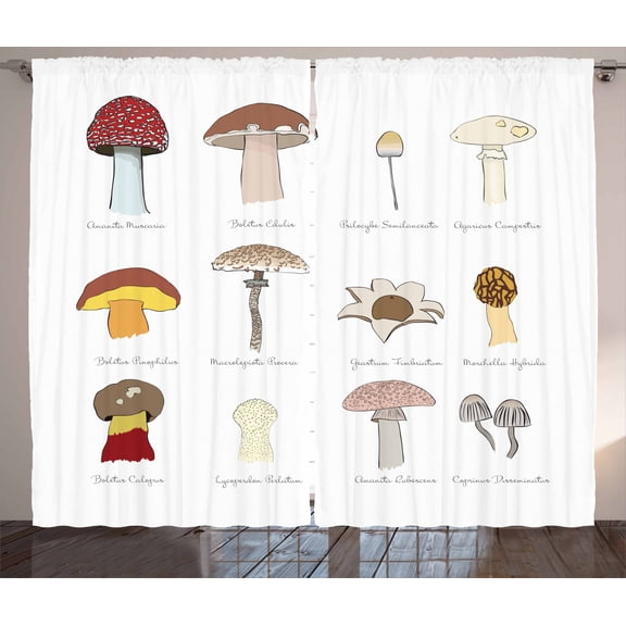 Ambesonne Mushroom Curtains 2 Panel Set, Blusher Boletus Sketch, 108" x 84", Multicolor
