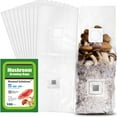 thumbnail image 1 of Mushroom Grow Bags with Injection Port and 0.2 Micron Gas Exchange Filter Patch, 6 Mil Polystyrene Grow Bag for Edible Mycelium Grain Cultivation,8 x 5 x 20 inch,100pcs, 1 of 7
