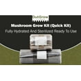 thumbnail image 1 of Mushroom Grow Kit (Quick Kit), 1 of 11