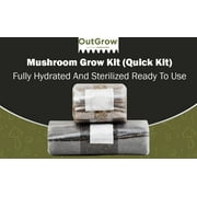 Mushroom Grow Kit (Quick Kit)