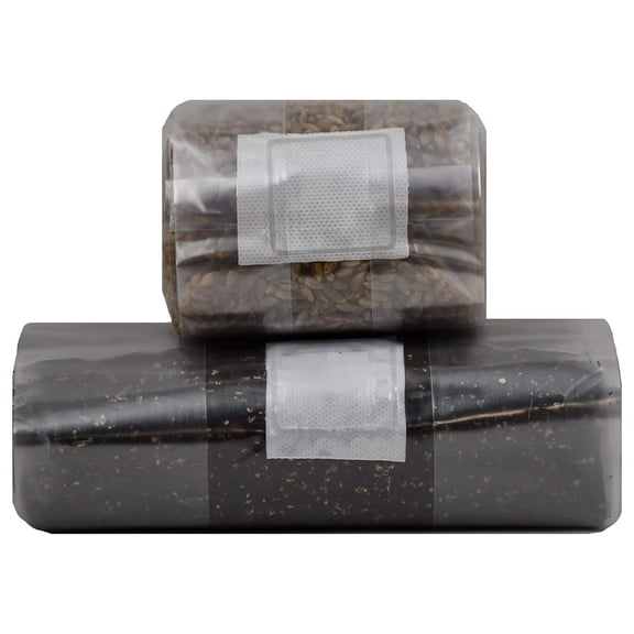 Mushroom Grow Kit (Quick Kit)