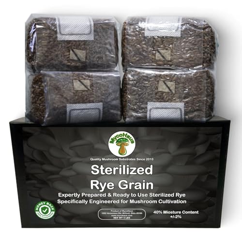 Mushroom Growing Kit with Injection Ports | Sterilized Rye Grain ...
