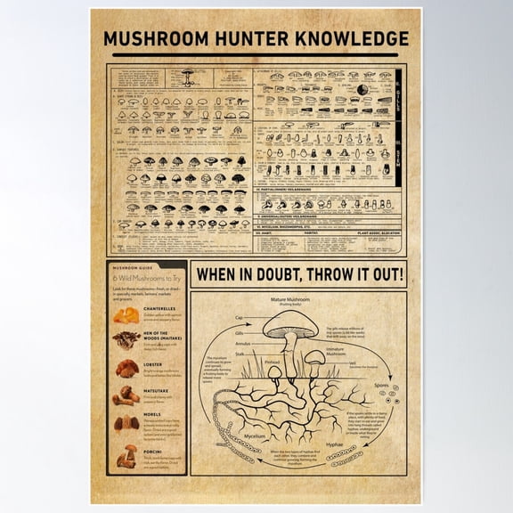 Mushroom Hunter Knowledge: Foraging Tips And Safety Poster Wall Art, Modern Wall Decor For Living Room Bedroom, 8x12 UNFRAMED