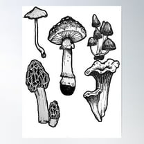 Mushroom Illustration Pack Poster Wall Art, Modern Wall Decor For Living Room Bedroom, 16x24 UNFRAMED