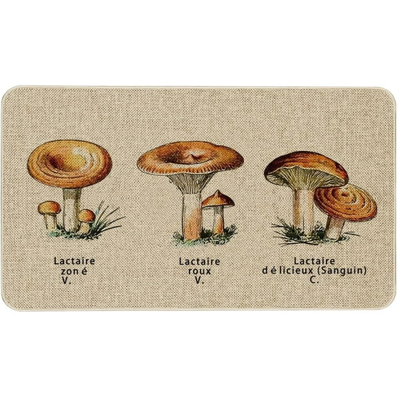 Mushroom Kitchen Rug Sets 2 Piece Farmhouse Kitchen Mats for Floor Non Slip Washable Thin Kitchen Area Rug Floor Mat Waterproof Hallway Laundry Room Runner Rug