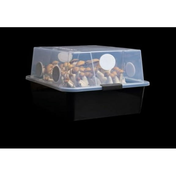 Mushroom Monotub LARGE 66Q Grow Kit | Complete Mushroom Grow Kit | For Dung-Loving Mushrooms | Includes 2 sterilized Grain Spawn Bags, Bulk Substrate, Vermiculite, Filters & More! Just add Spores