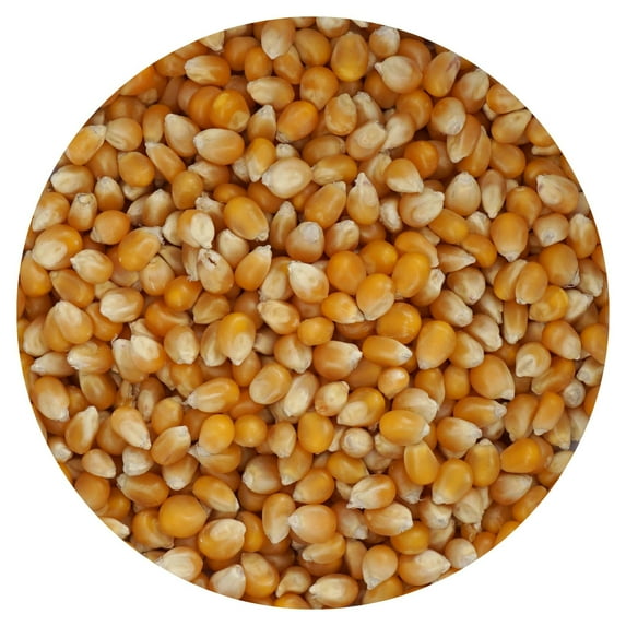 Mushroom Popcorn Kernels, 2 Pound Bulk Bag, The Hampton Popcorn Company