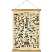Mushroom Poster, Handmade Vintage Poster with Wooden Frame