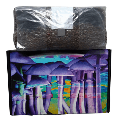 Mushroom Spawn Store Magic All In One Grow Bag, 6 lb, Purple