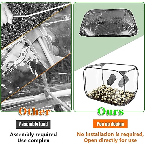 Kuuleyn Still Air Box - Opvouwbare PVC Mushroom Grow Tent Voor Mycologie - 80x50x50 Cm