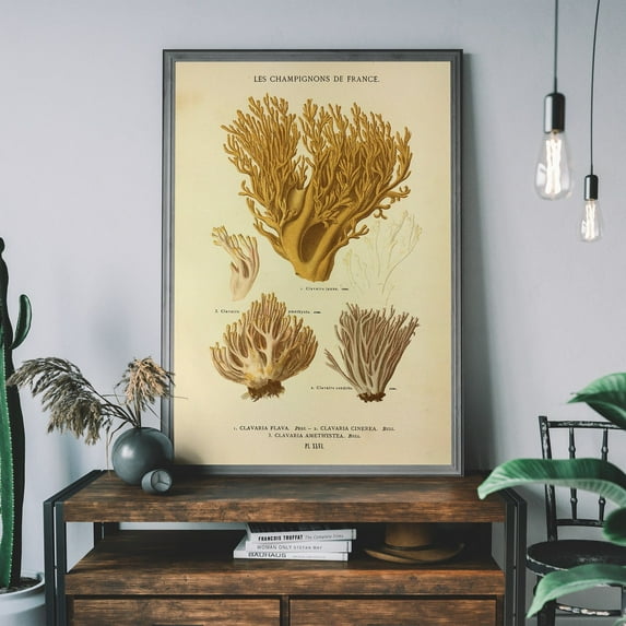 Mushroom Wall Art, Botanical Illustration Art Print, Vintage Champignons Poster Wall Art, Modern Wall Decor, 24x36 UNFRAMED