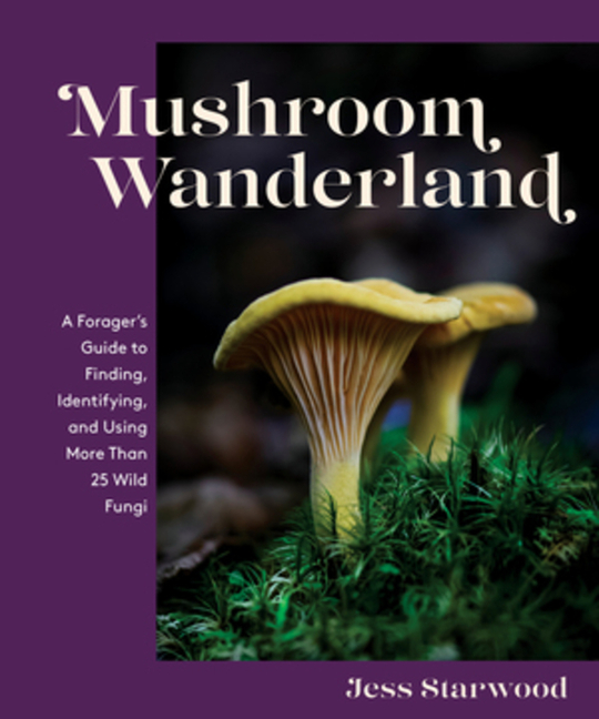 Mushroom Wanderland: A Forager's Guide to Finding, Identifying, and Using More Than 25 Wild Fungi (Hardcover) - image 1 of 1