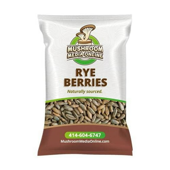 MushroomMediaOnline Whole Rye Berries for Mushroom Grain Spawn (10)