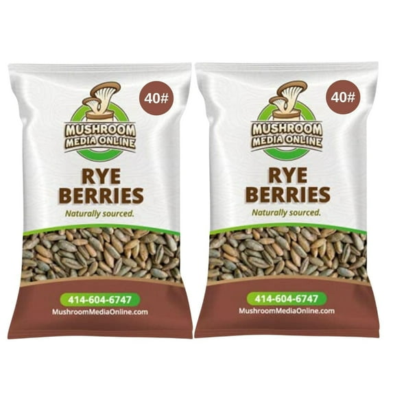 MushroomMediaOnline Whole Rye Berries for Mushroom Grain Spawn (80)