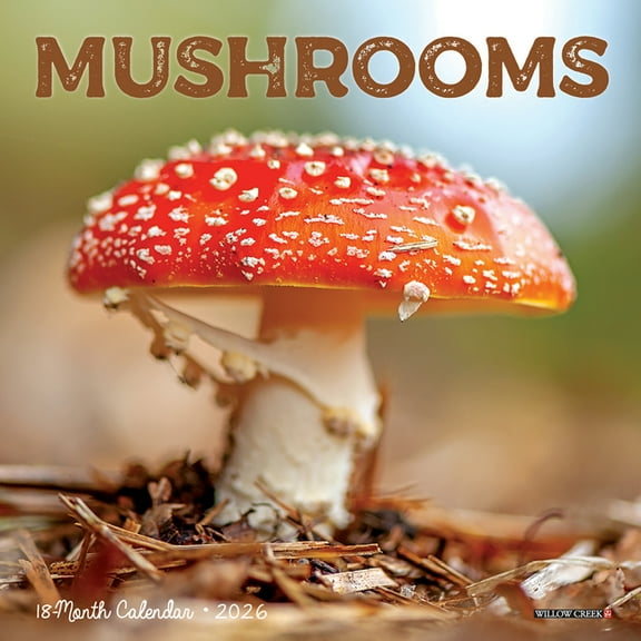 Mushrooms 2026 Mini Wall Calendar, (Paperback)