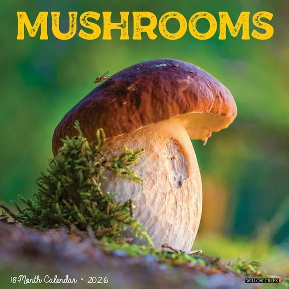 Mushrooms 2026 Wall Calendar, (Paperback)