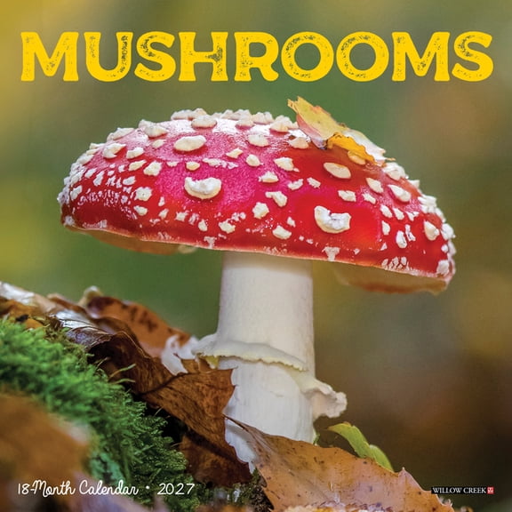 Mushrooms 2027 7 X 7 Mini Wall Calendar, (Paperback)