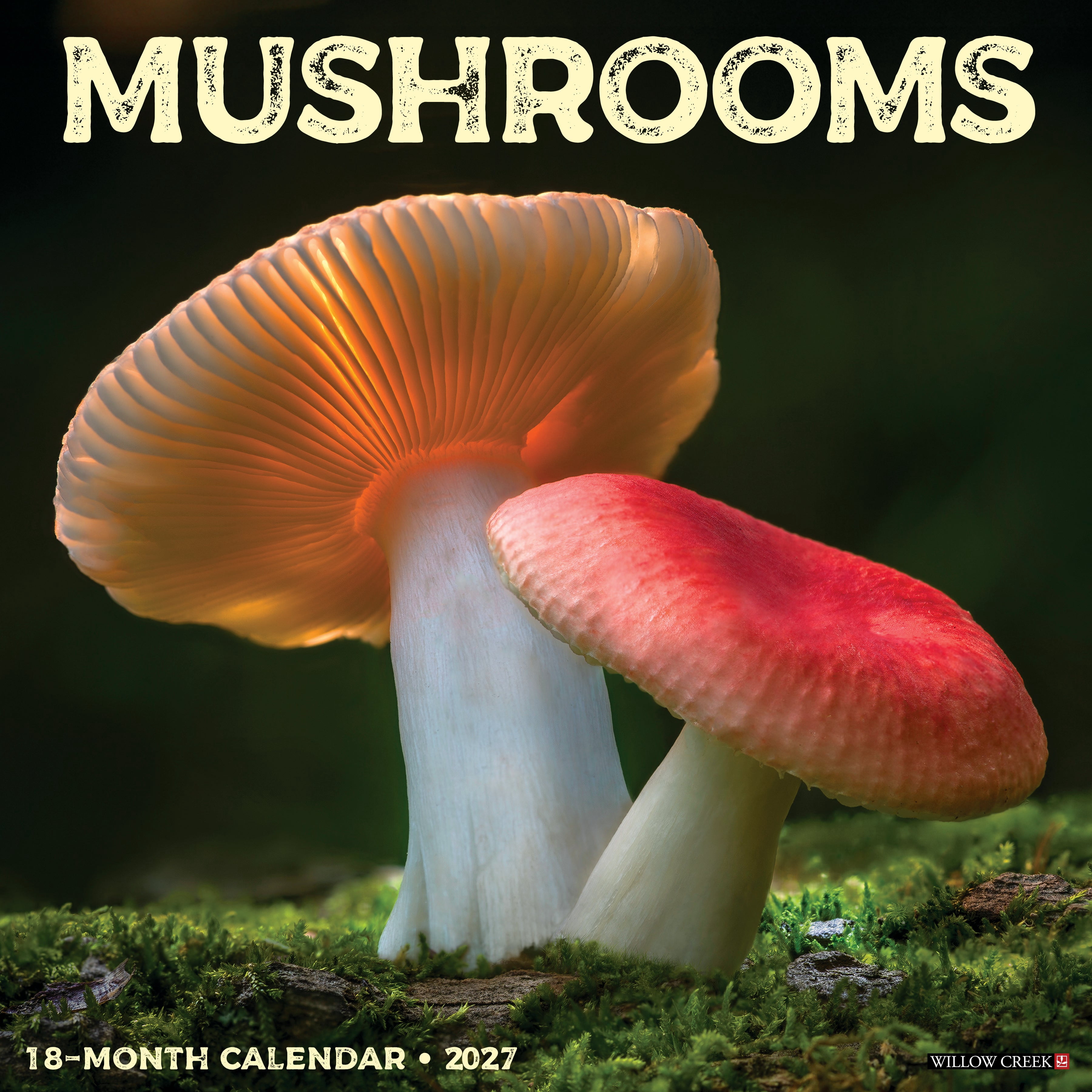 Willow Creek Press, Mushrooms 2027 Wall Calendar