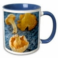 thumbnail image 1 of 3drose, Mushrooms, Chanterelles, Fungi - Eu16 Nto0478 - Nico Tondini, 11oz Two-tone Blue Mug, 1 of 6