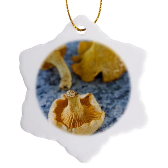 3drose, Mushrooms, Chanterelles, Fungi - Eu16 Nto0478 - Nico Tondini, 3 inch Snowflake Porcelain Ornament