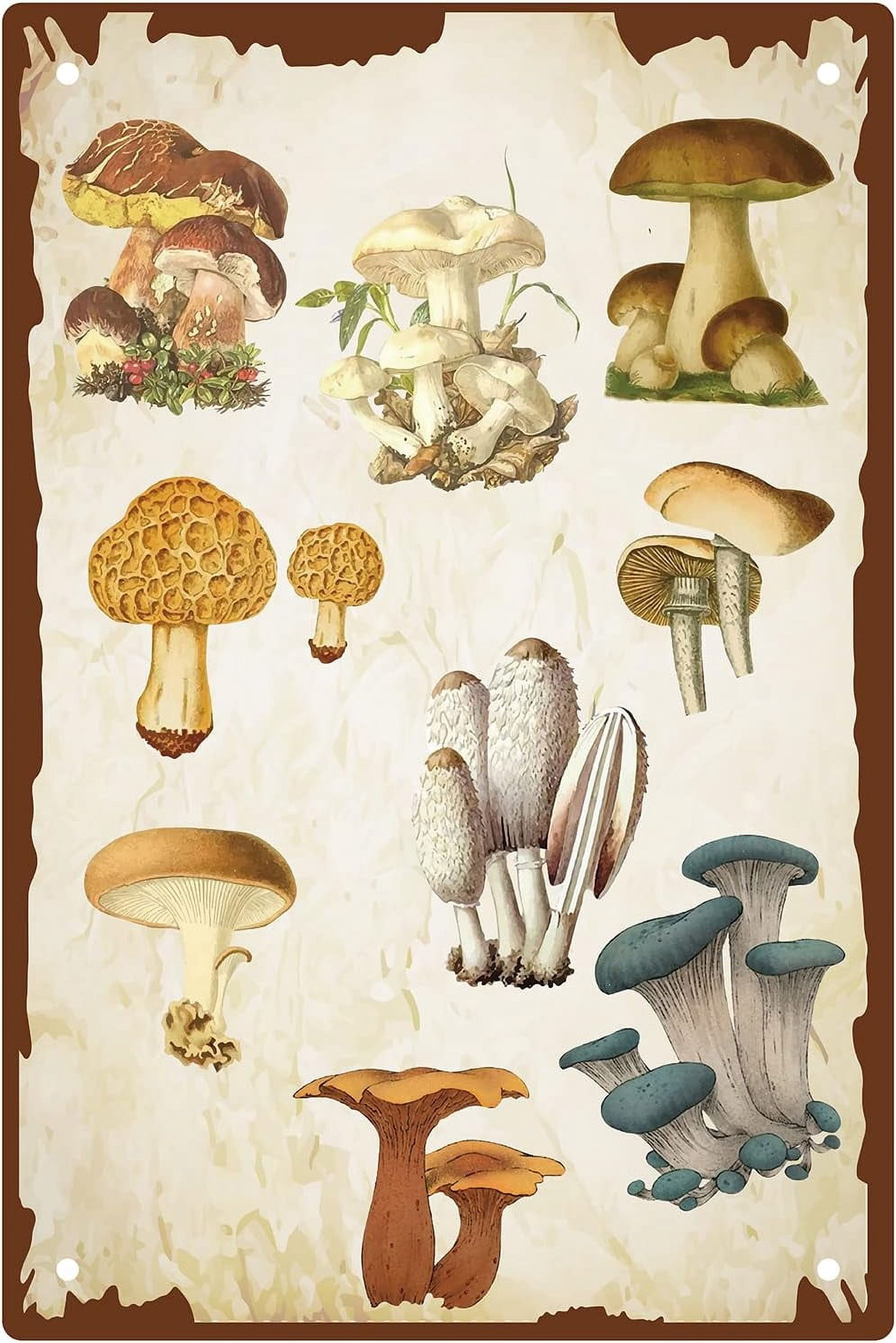 Mushrooms Metal Sign Wall Decor Vintage Retro Art Tin Hanging Iron ...