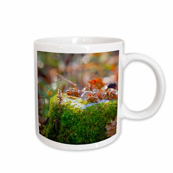 3drose, Mushrooms on a Moss-covered Tree Stub. Wet Day of Autumn. First Snow, 11oz Mug