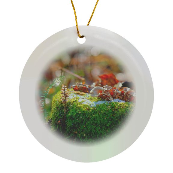3drose, Mushrooms on a Moss-covered Tree Stub. Wet Day of Autumn. First Snow, Circle Porcelain Ornament