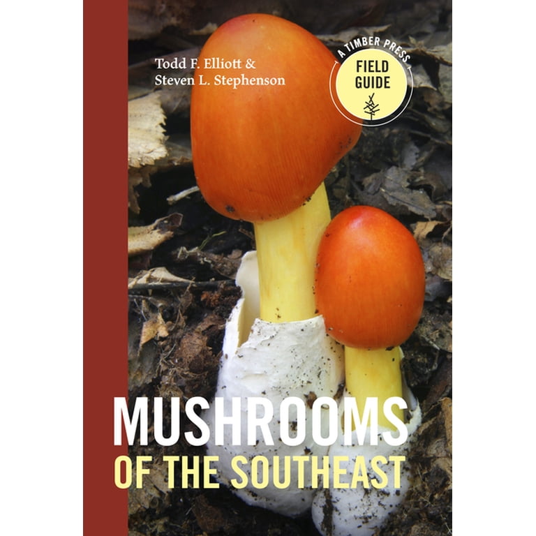 洋書 Mushrooms Mushrooms of the Southeast - Paperback - Walmart.com