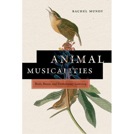 Music / Culture: Animal Musicalities: Birds, Beasts, and Evolutionary Listening (Hardcover)