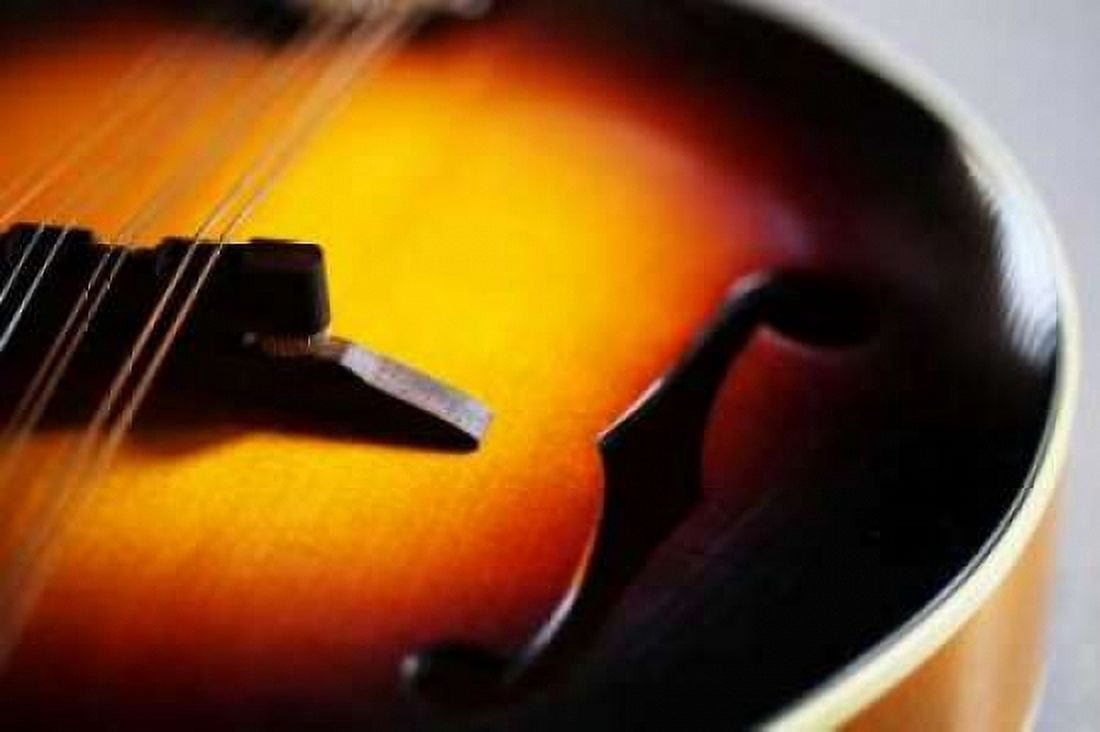 Music I Canvas Art - Leesa White (24 x 36)