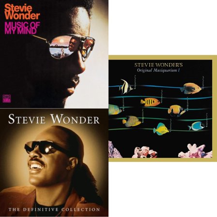 ⭐︎ STEVIE WONDER ⭐︎ 2枚組レコード Music-Of-My-Mind-Definitive-