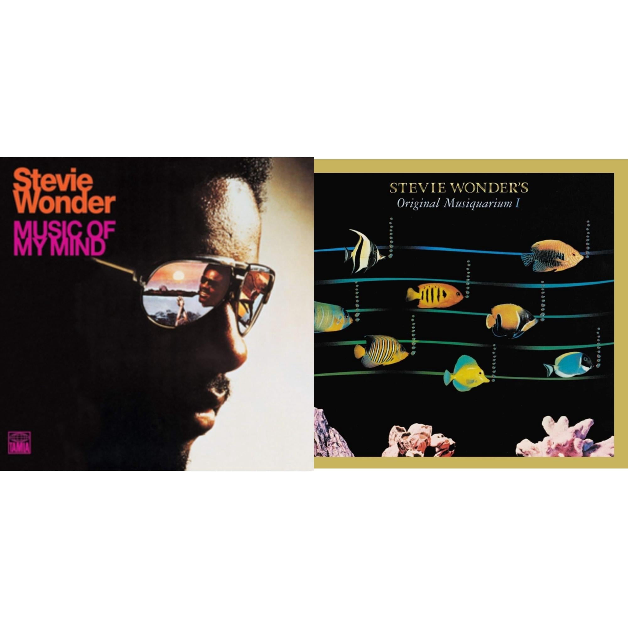 Stevie Wonder Music Wall: Vinyl Records, CDs & Cassettes | Walmart