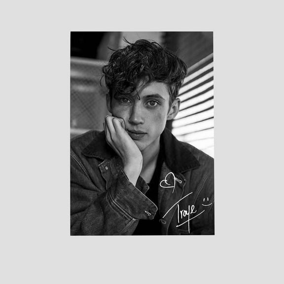 Music Poster- Troye Sivan Poster - Vintage Style - Size 24x36 - Postora
