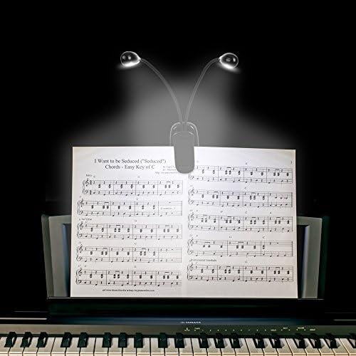 Music Stand Light, 1/2/4/10 Pack Clip on LED Book Lights, USB and AAA Battery Operated, Reading Lamp in Bed, 4 Brightness Levels, Ideal for Musician, Piano Player, Sheet Music, Travel (Dual Arm)